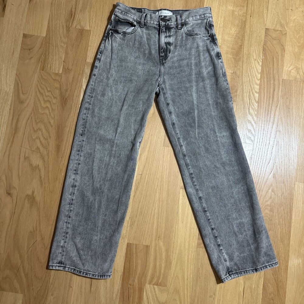 pacsun baggy jeans men 28x30
